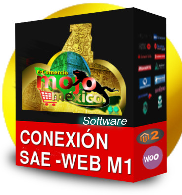 saeweb conexion tienda web
